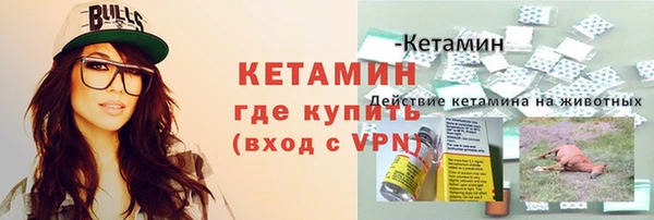 винт Дмитриев