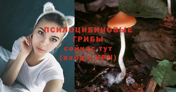 винт Дмитриев
