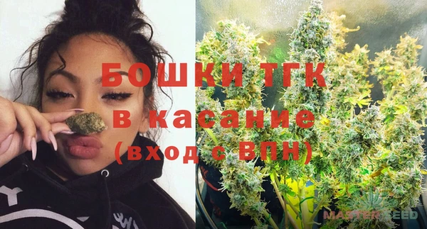 винт Дмитриев