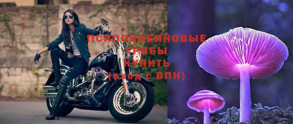 apvp Дмитровск