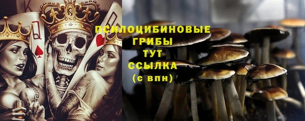 спайс Дмитров