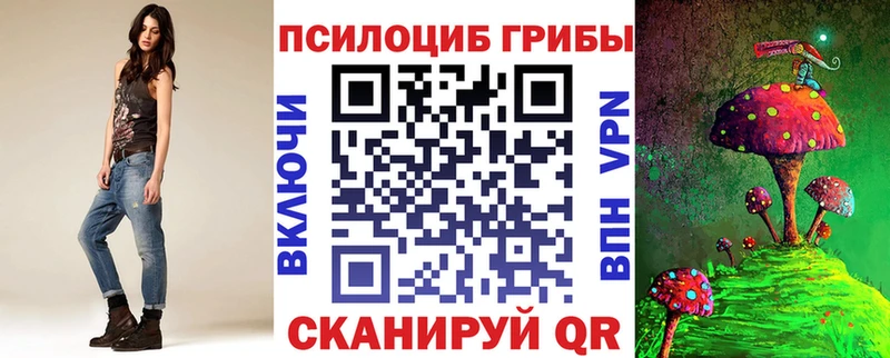 где купить наркоту  Зеленокумск  Псилоцибиновые грибы GOLDEN TEACHER 